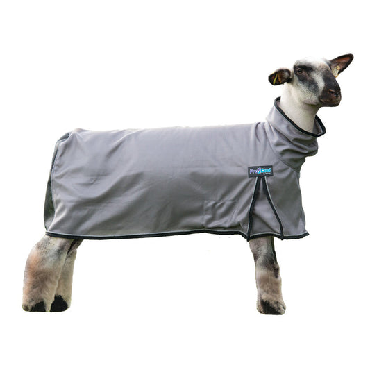 Weaver ProCool™ Mesh Sheep Blanket with Reflective Piping