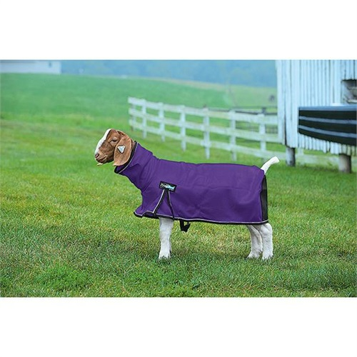 Weaver ProCool Goat Blanket w/Reflective Piping &amp; Mesh Butt