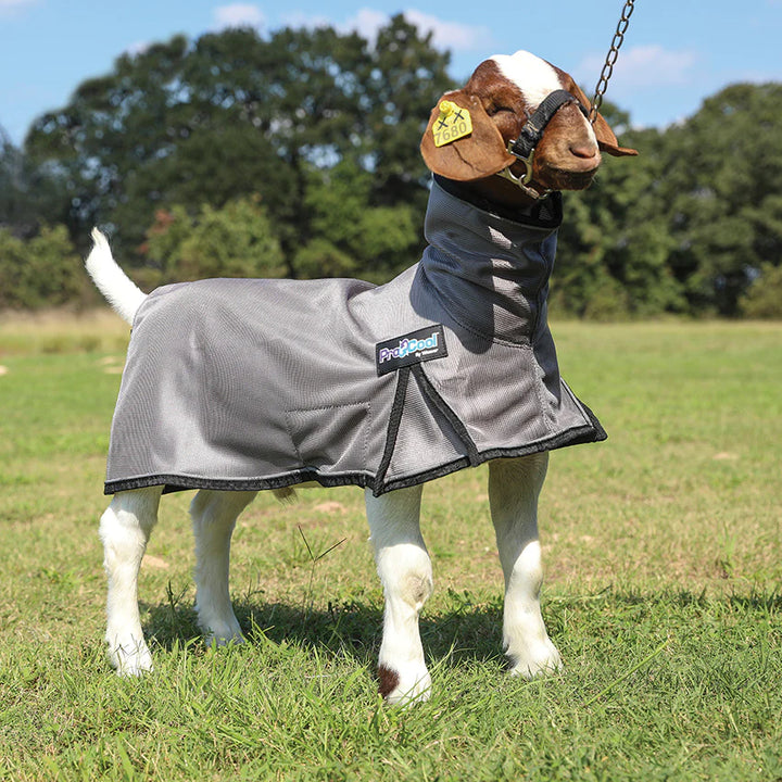 Weaver ProCool Goat Blanket w/Reflective Piping &amp; Mesh Butt - Large