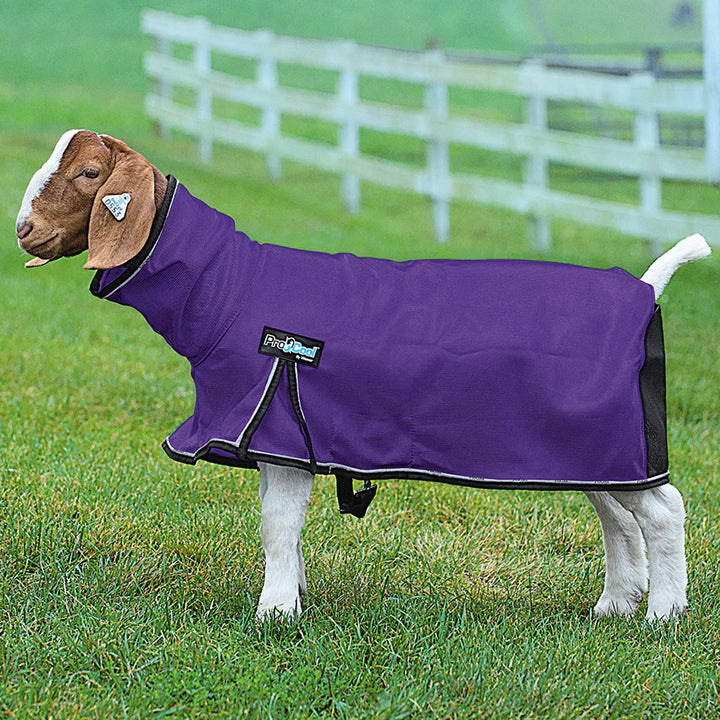 Weaver ProCool Goat Blanket w/Reflective Piping &amp; Mesh Butt - Large