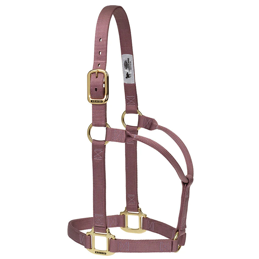 Weaver Leather Original Average Non-Adjustable Nylon Horse Halter - Assorted Colours
