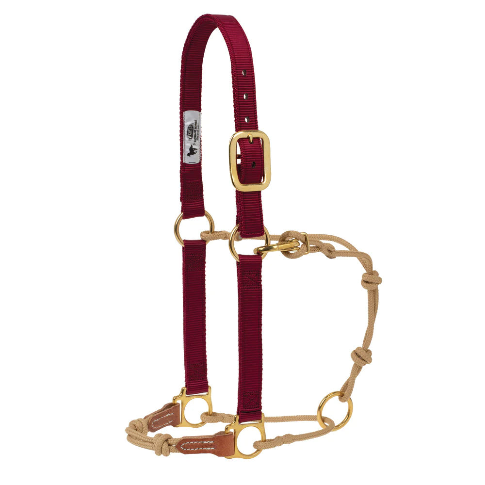 Weaver Horseman's Halter - Small - Multiple Colours