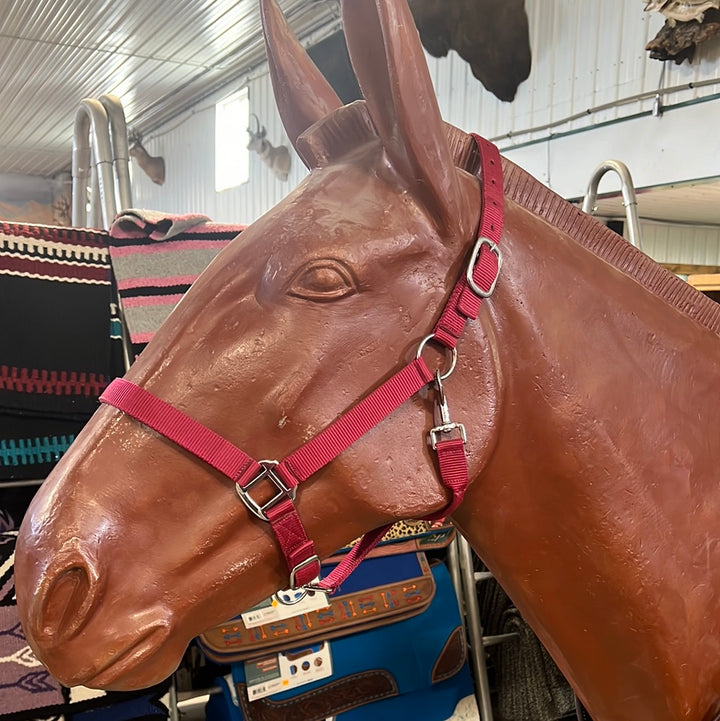Irvine Nylon Adjustable Halter w/Snap - Irvine Tack &amp; Western Wear