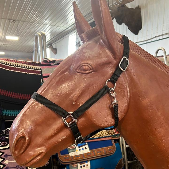Irvine Nylon Adjustable Halter w/Snap - Irvine Tack &amp; Western Wear
