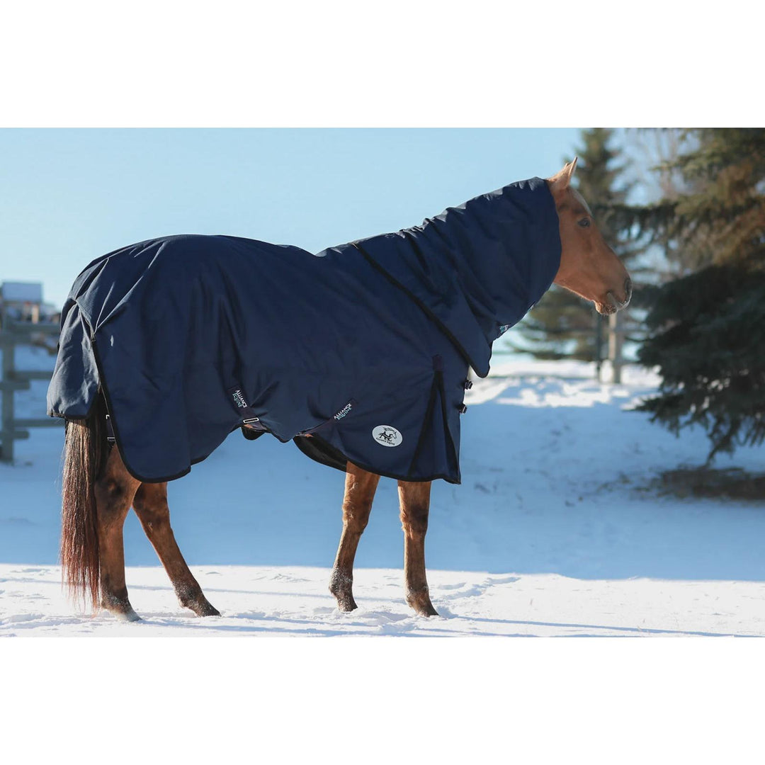 Alliance Equine OG Signature Winter Blanket- Multiple Colours