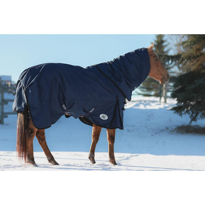 Alliance Equine OG Signature Winter Blanket- Multiple Colours