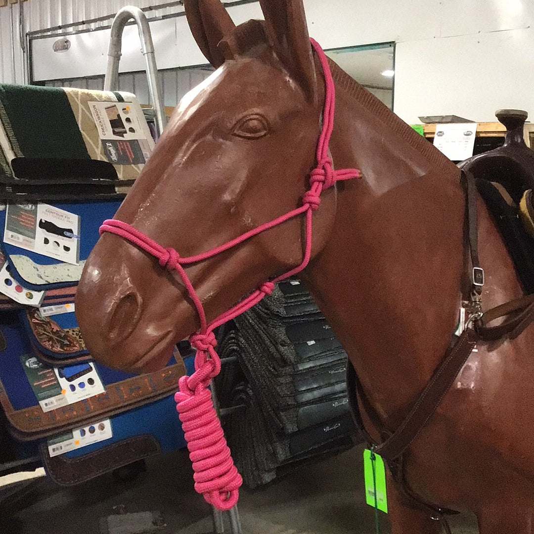 Irvine Rope Halter w/Matching Lead Rope