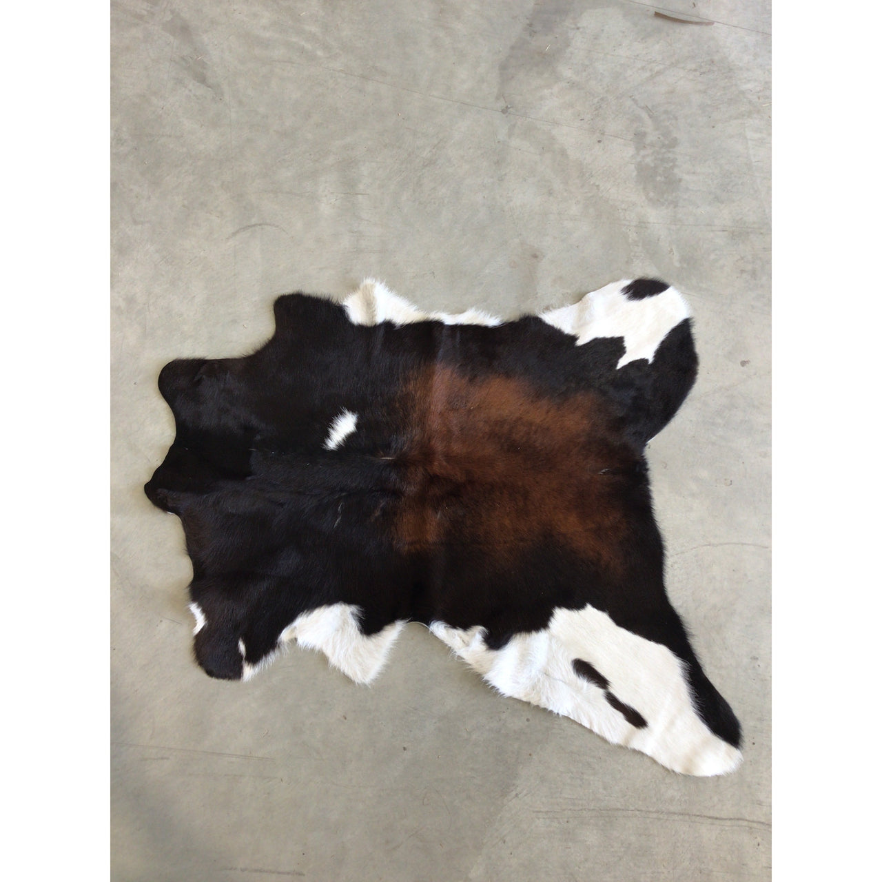 D2W Trading Calfskin Assorted Colors