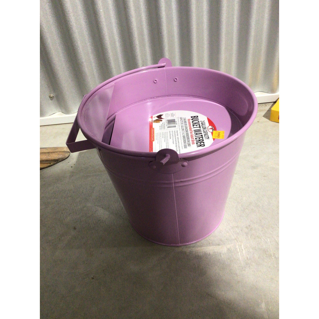 Waterer Painted Galv Bucket 2 Gallon