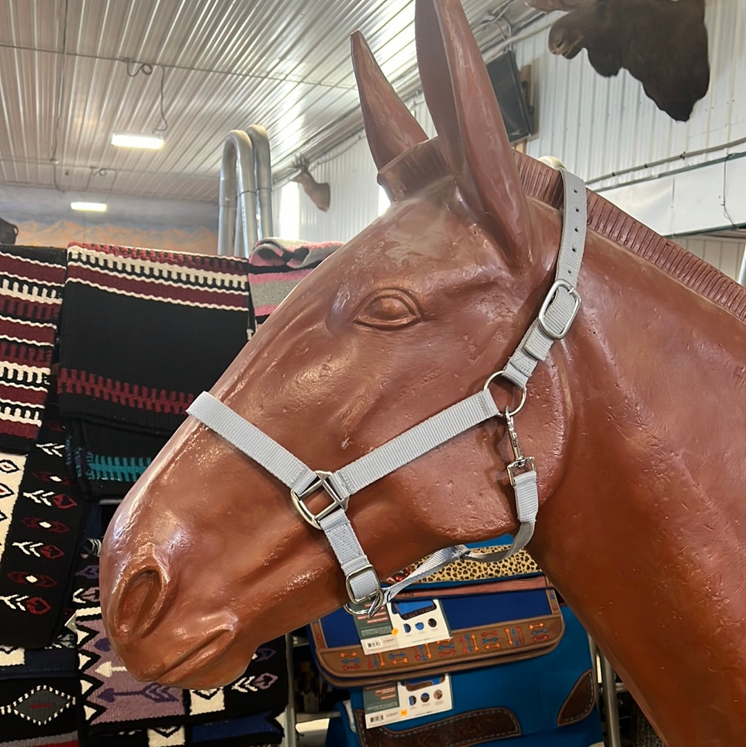 Irvine Nylon Adjustable Halter w/Snap - Irvine Tack &amp; Western Wear