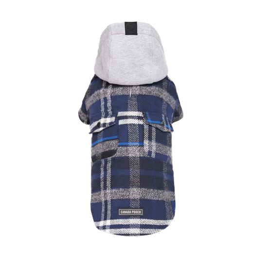 Canada Pooch The Shacket Blue  Plaid Size 18