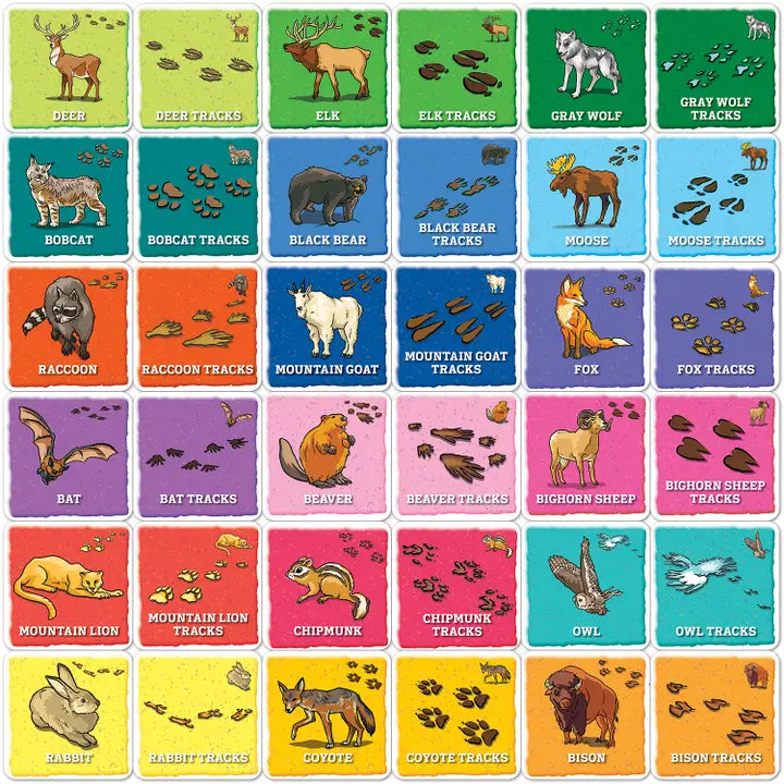 Jr. Ranger Animal Tracks Matching Game - Irvine Tack & Western Wear