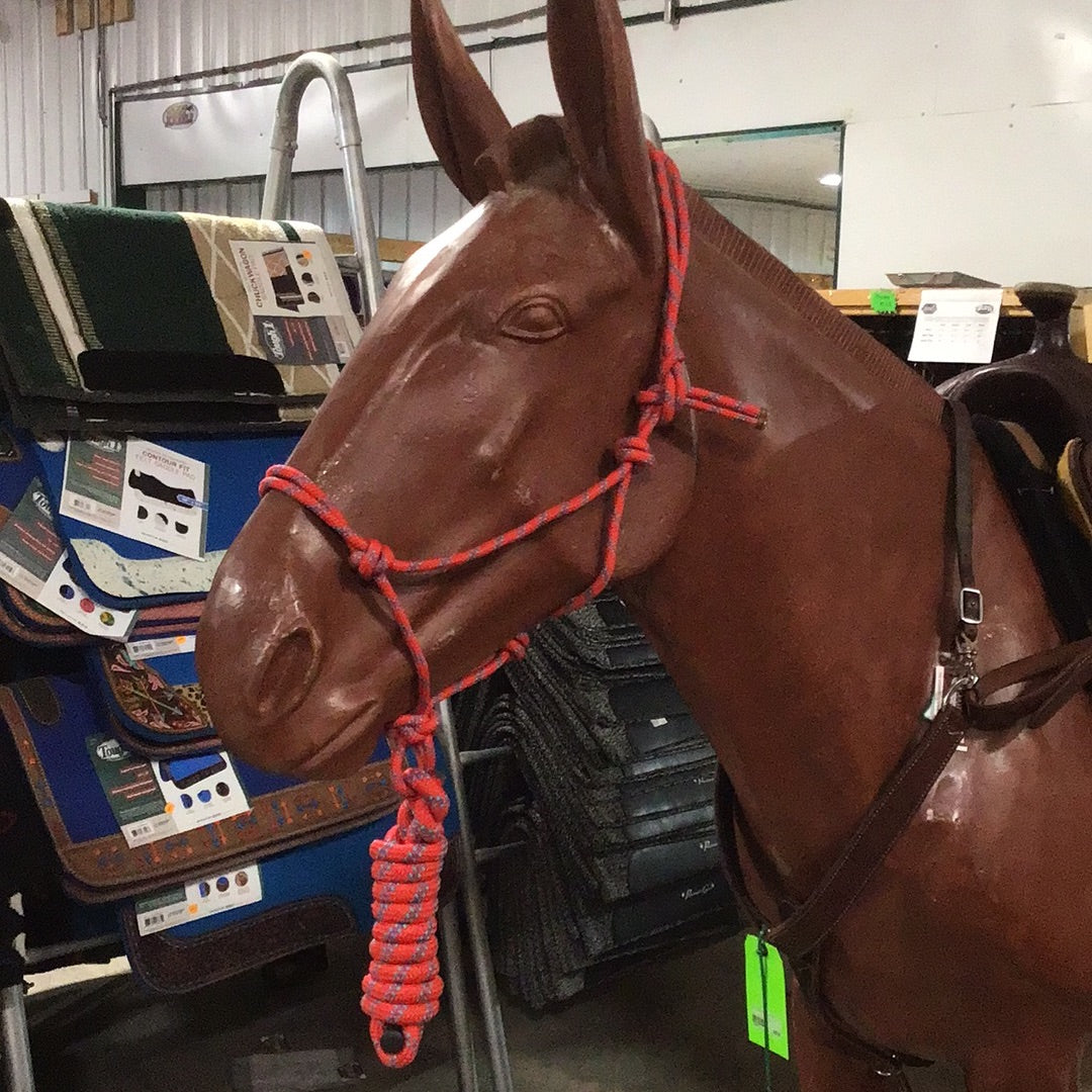 Irvine Rope Halter w/Matching Lead Rope