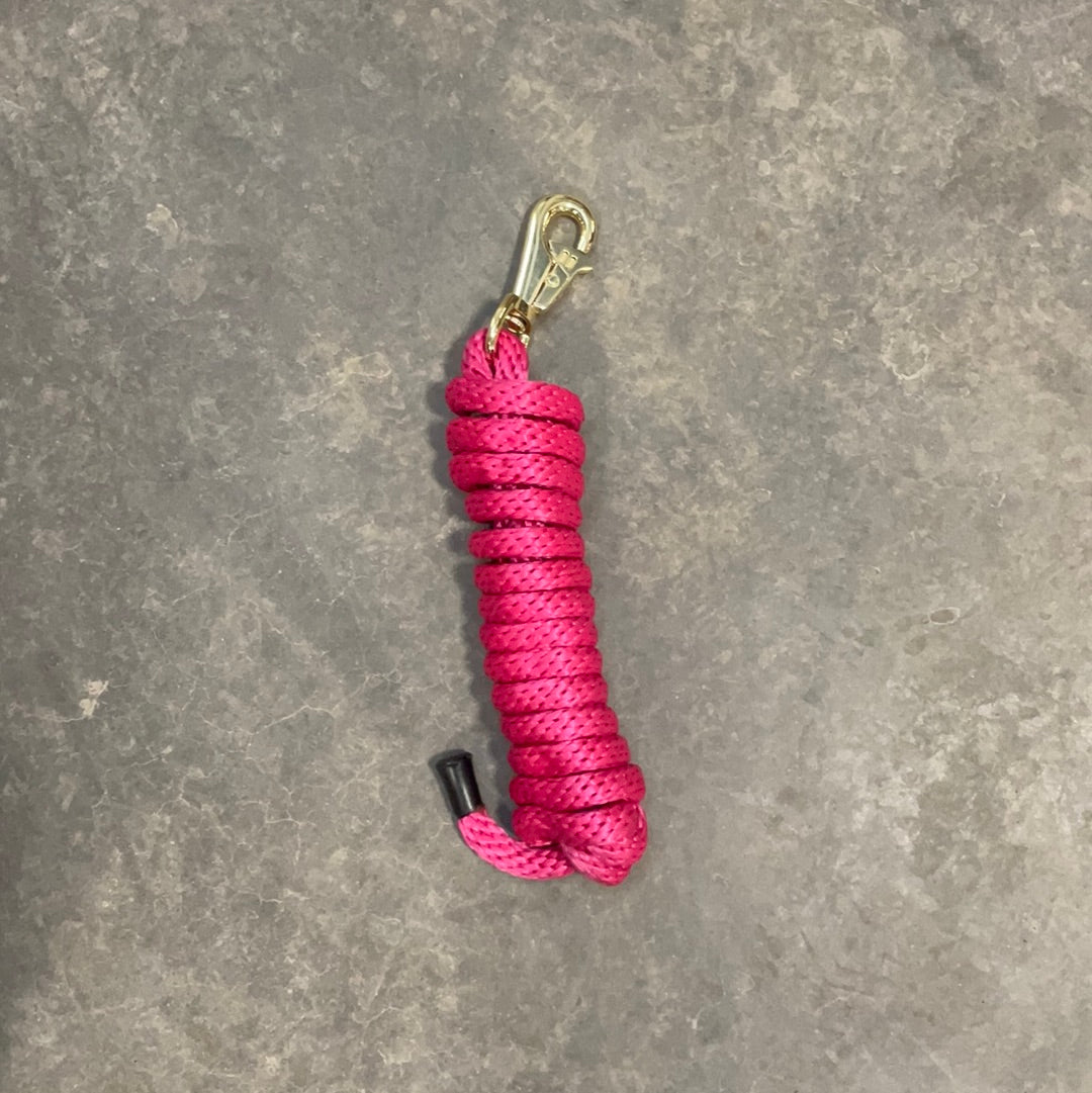 Irvine Poly Lead Rope w/Brass Plated Snap