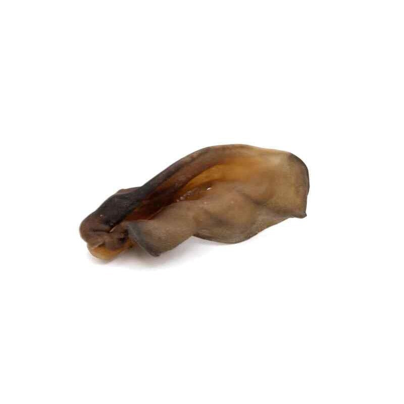 Furever Beef Ear (Natural) Small (Sold Indivdual)