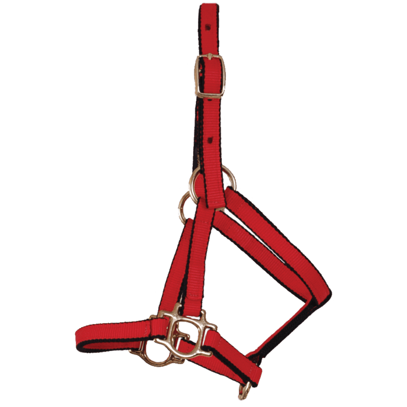 Burwash Ultimate Halter-Weanling - Irvine Tack & Western Wear