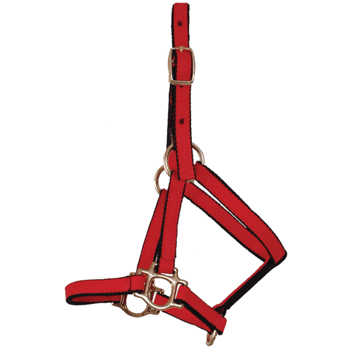 Burwash Ultimate Halter-Weanling - Irvine Tack &amp; Western Wear