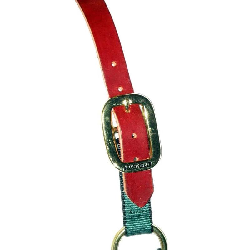 Burwash Ultimate Halter W/Breakaway-Average - Irvine Tack &amp; Western Wear