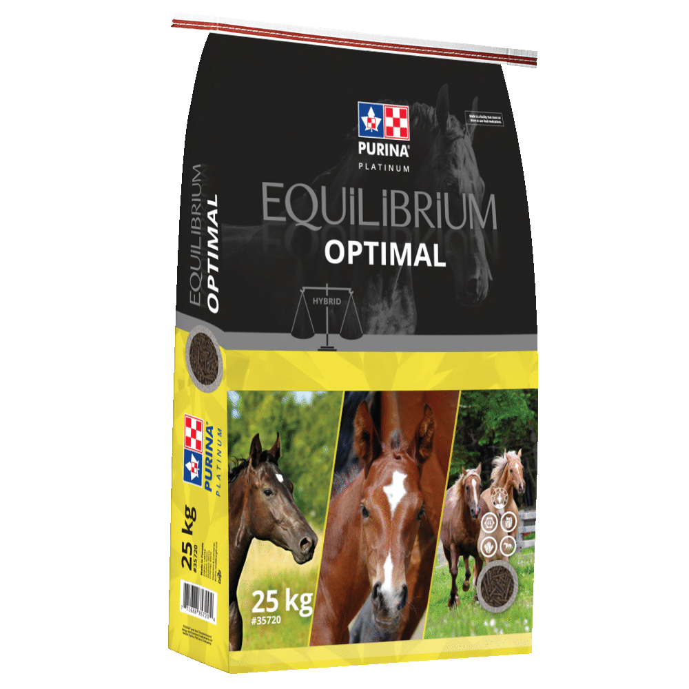 Purina Equilibriam Optimal-25KG - Irvine Tack &amp; Western Wear