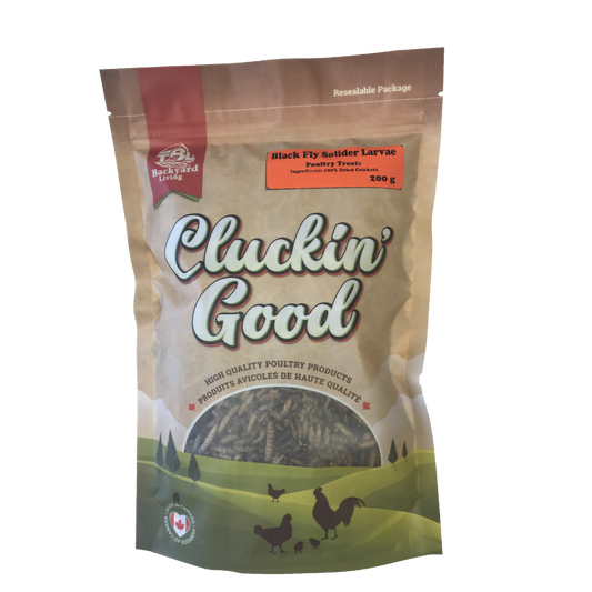 Cluckin' Good Fly Larvae