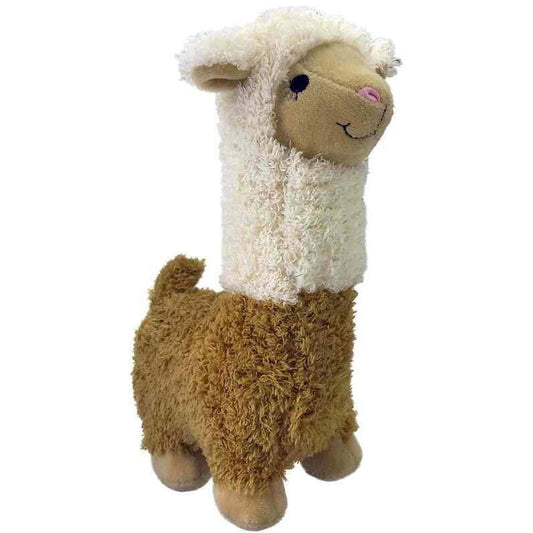 Dolly Llama