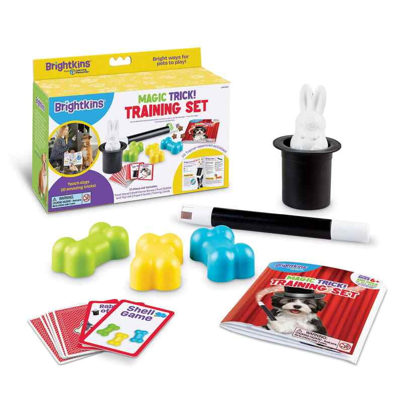 Dog Training Set