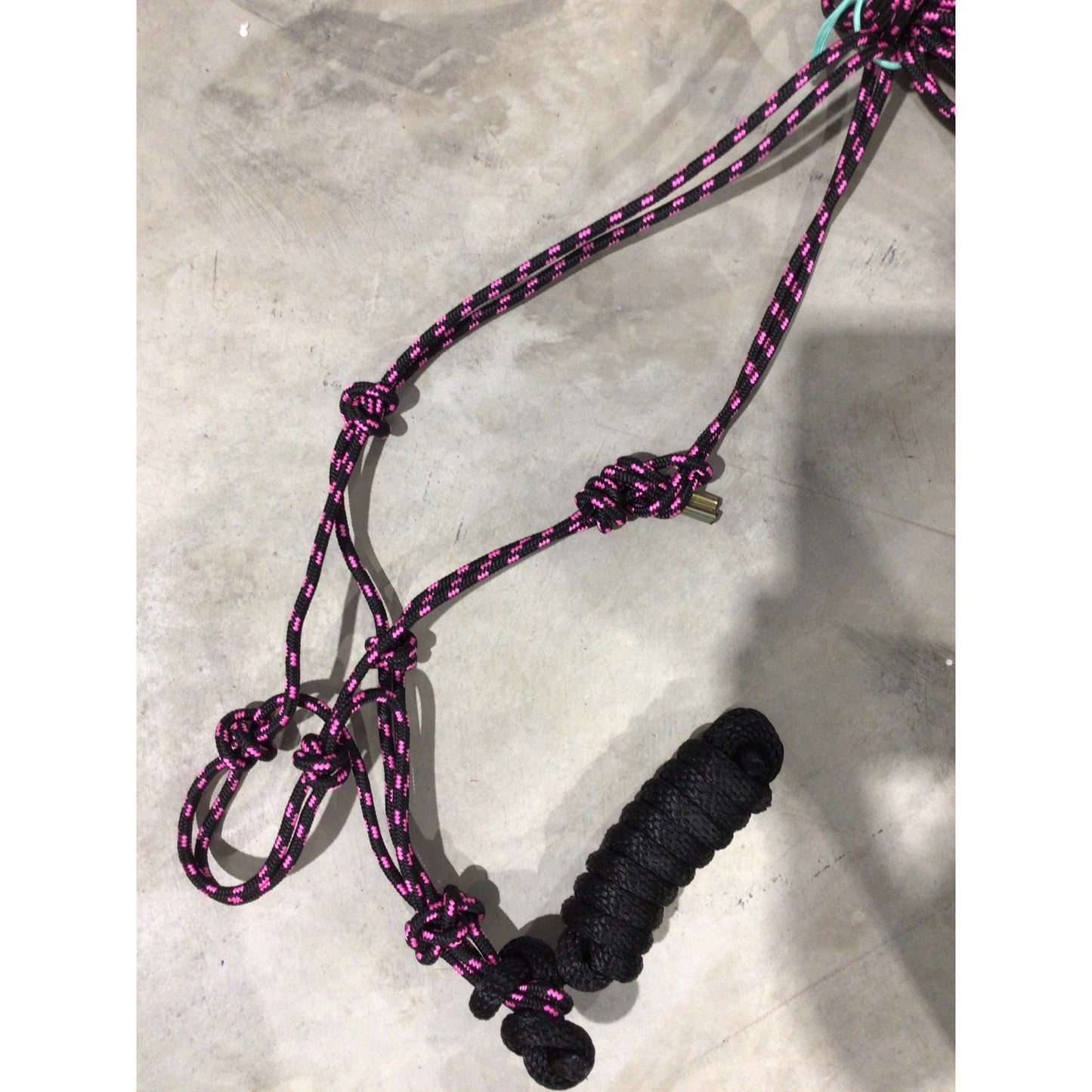 Rope Halter with Lead