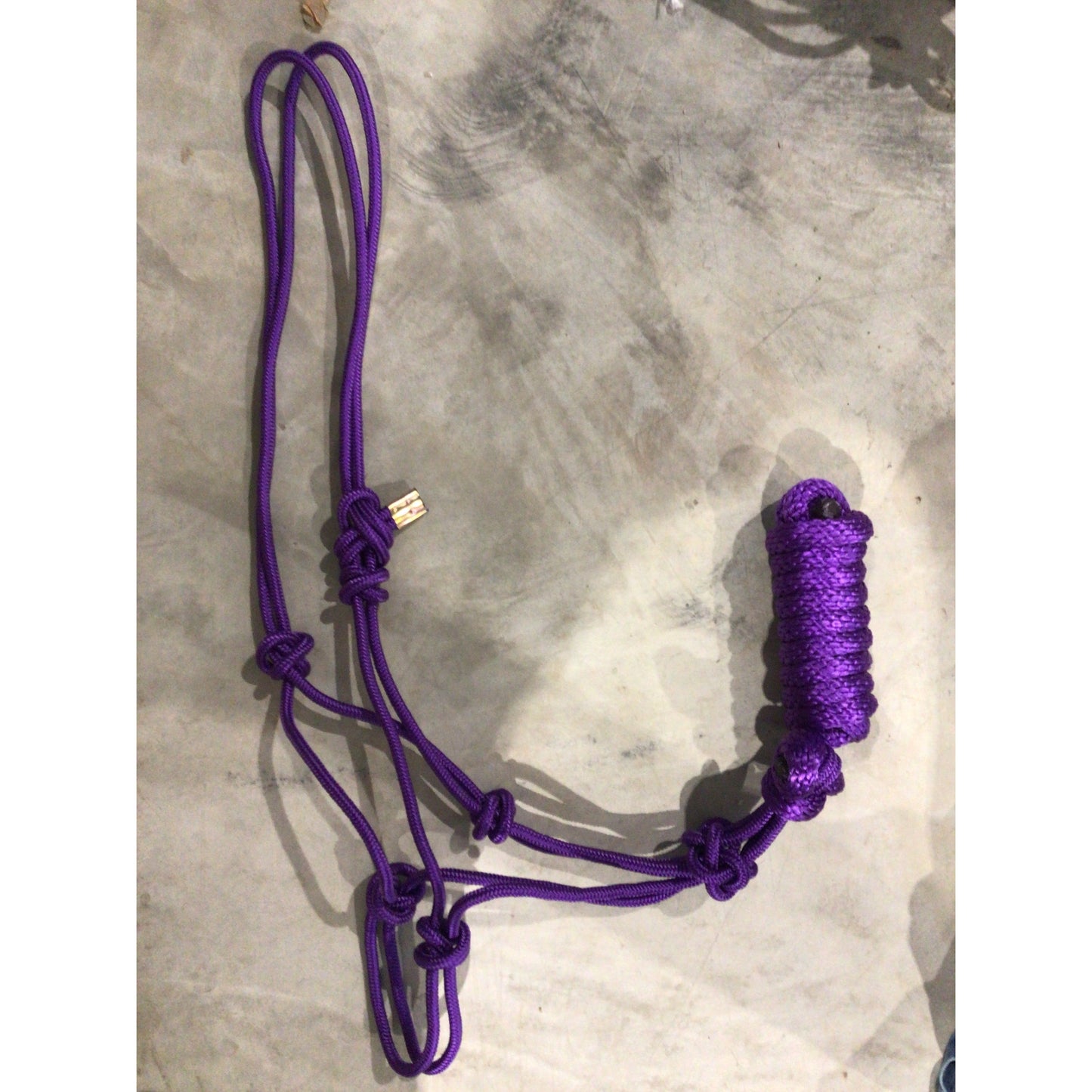 Rope Halter with Lead