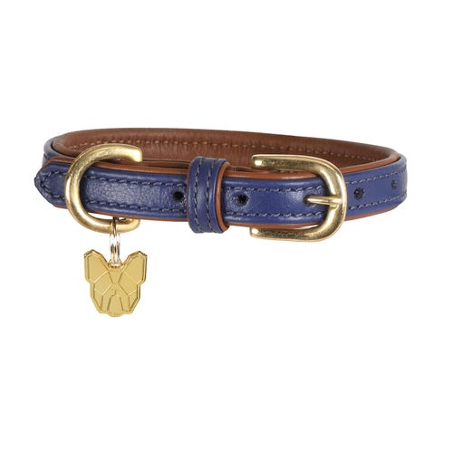 Shires Digby & Fox Padded Leather Dog Collar