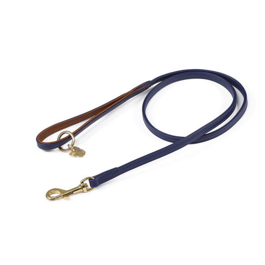 Leather Dog Lead