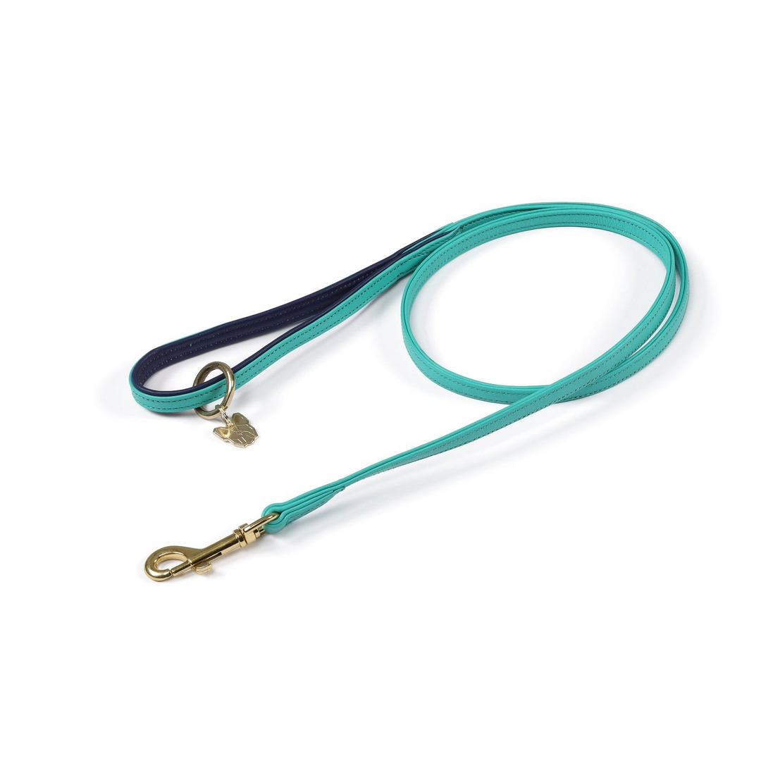 Leather Dog Lead