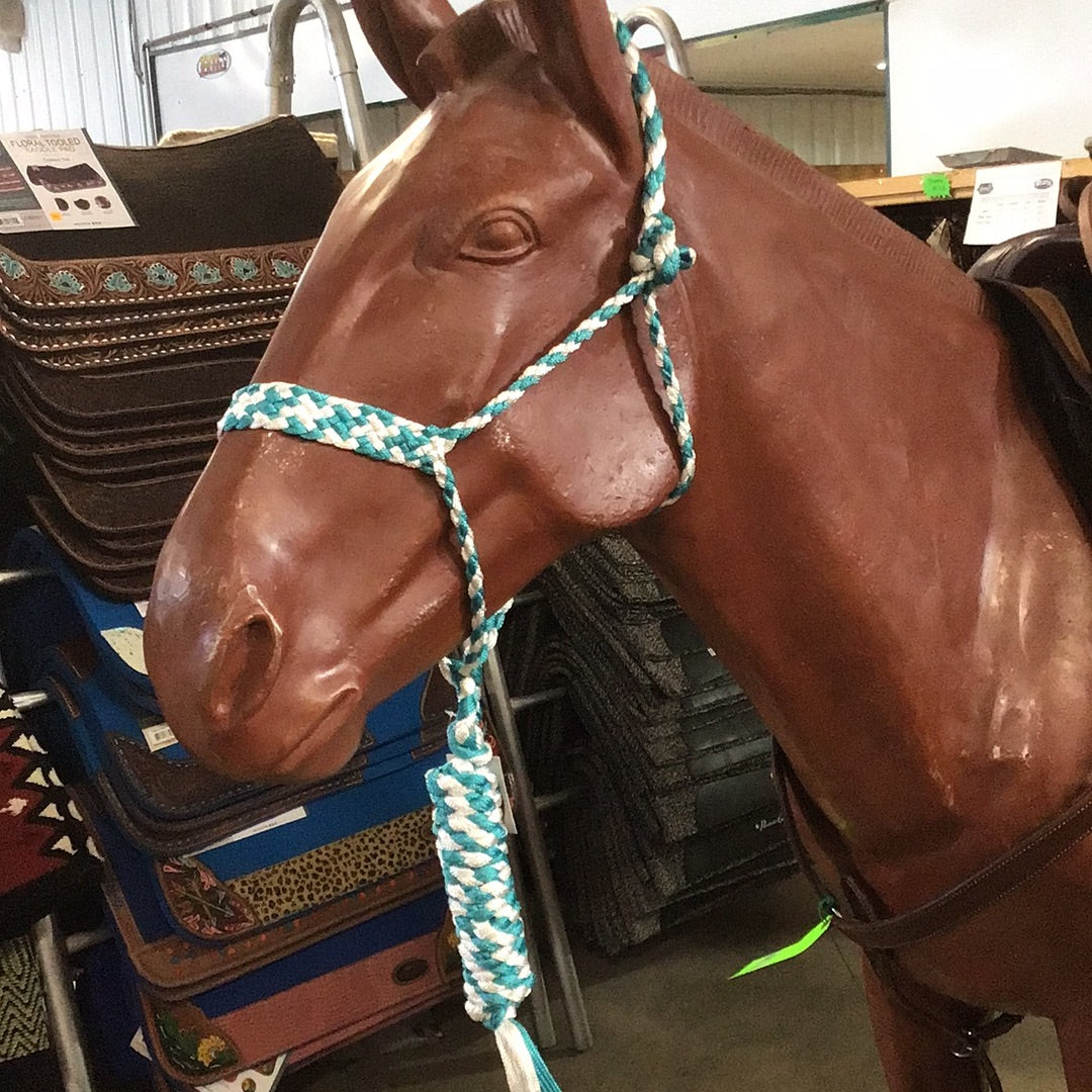 Irvine Mule Tape Halter w/8 ft Lead