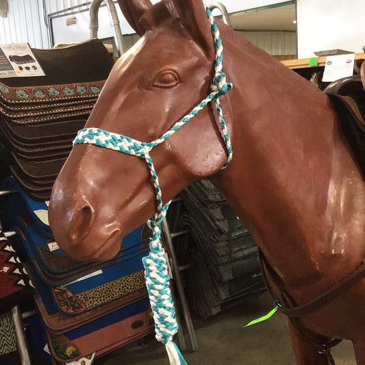 Irvine Mule Tape Halter w/8 ft Lead