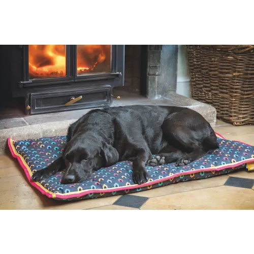 Shires Digby & Fox Waterproof Dog Bed