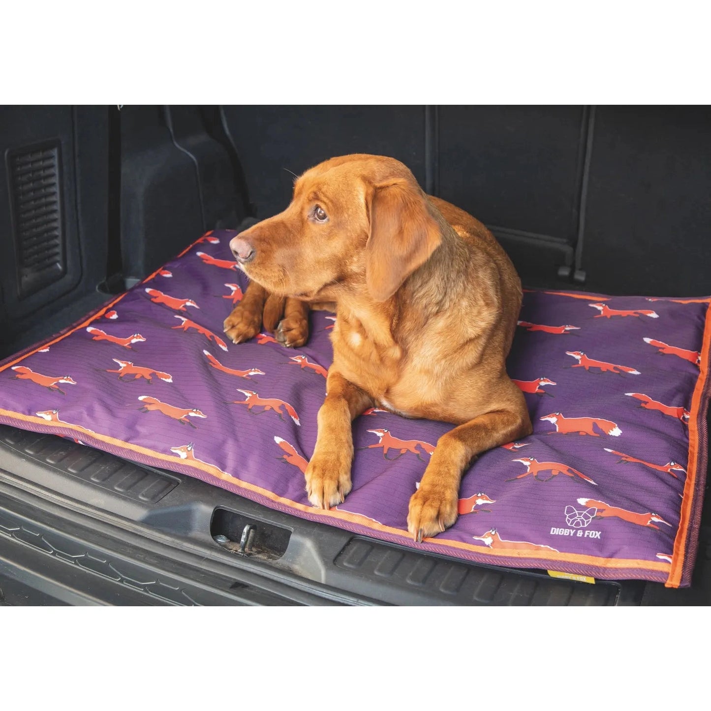 Shires Digby & Fox Waterproof Dog Bed