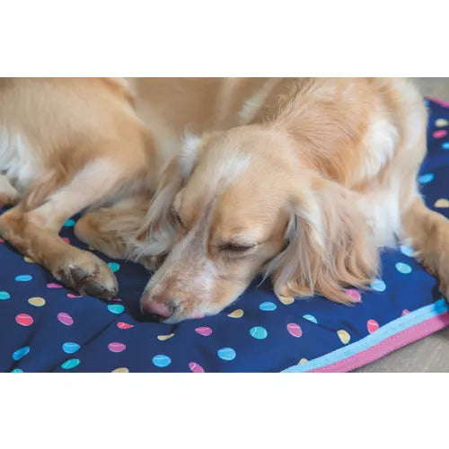 Shires Digby & Fox Waterproof Dog Bed