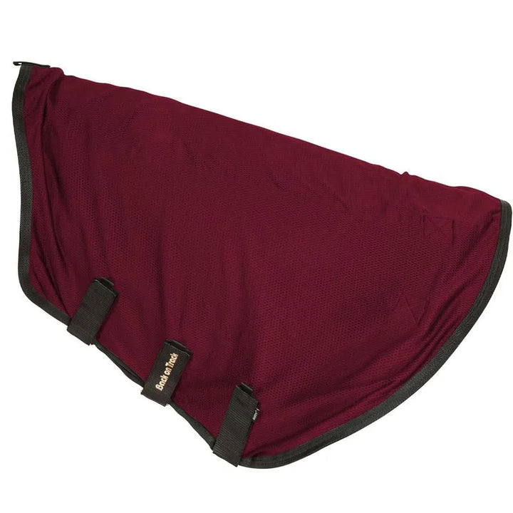 Back On Track Royal Mesh Rug Deluxe w/Neck Piece - Assorted Colours