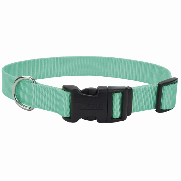 Coastal Adjustable Collar W/Plastic Buckle-Teal