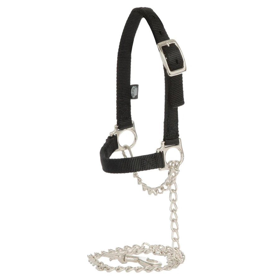 Weaver Adjustable Sheep Halter-Multiple Colours
