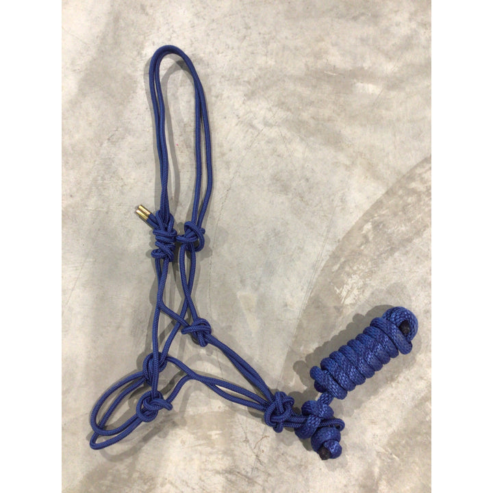 Rope Halter with Lead