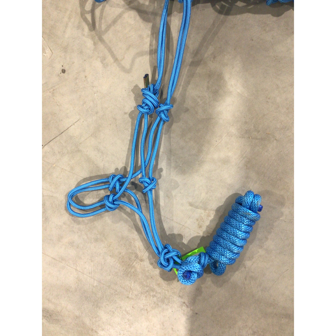 Rope Halter with Lead