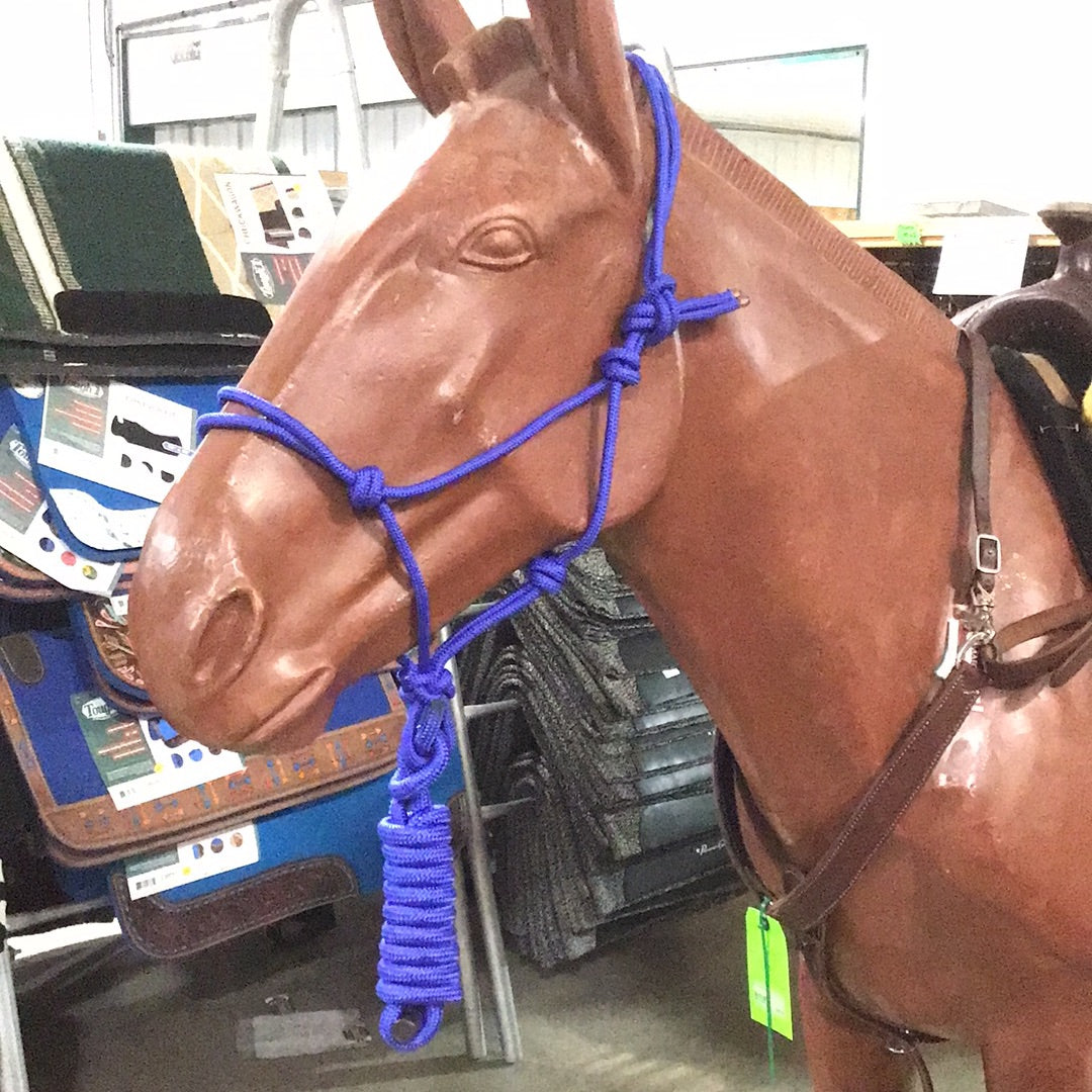 Irvine Rope Halter w/Matching Lead Rope