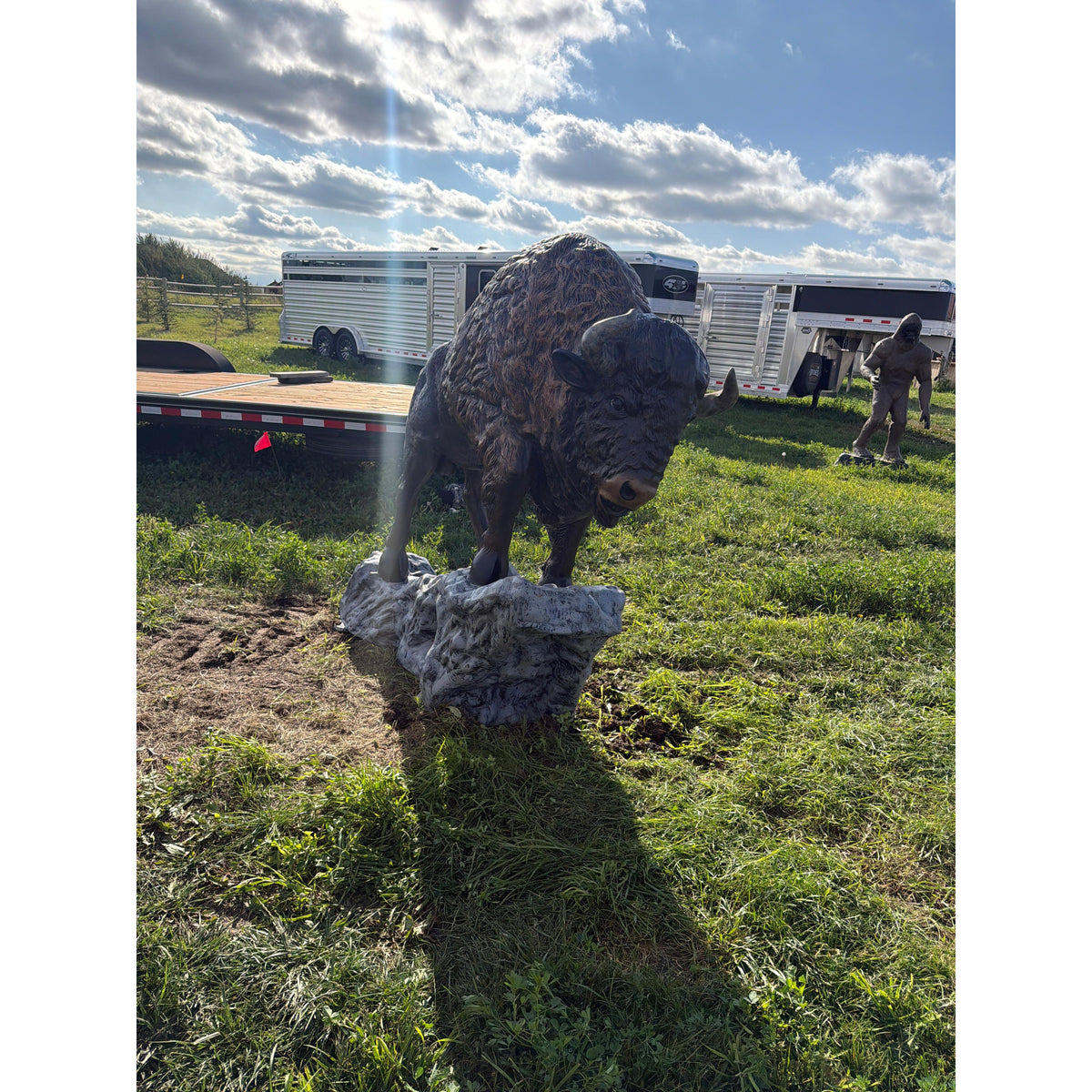 Buffalo On Rock