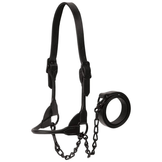 Weaver Black Magic Show Halter - Black