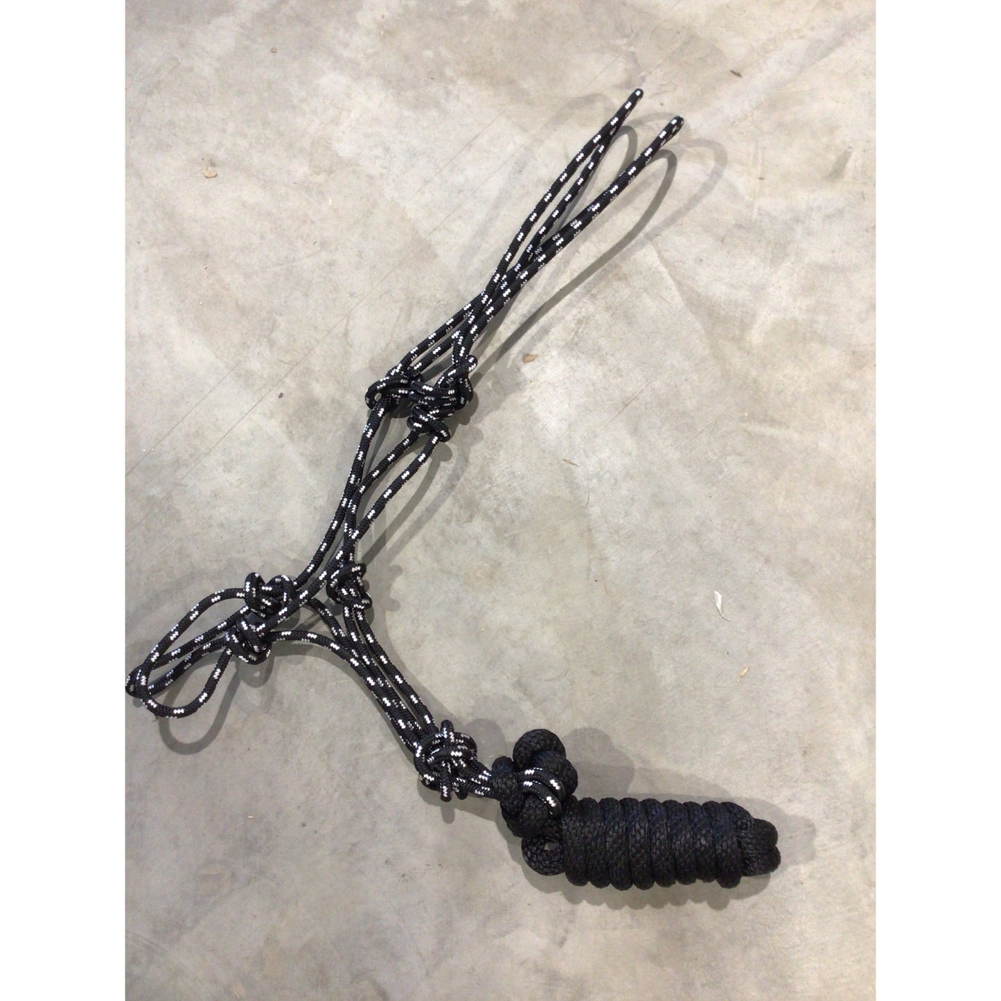Rope Halter with Lead