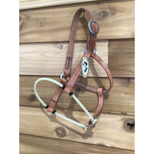 San Saba 1" Harness Leather Halter w/ Rope Nose