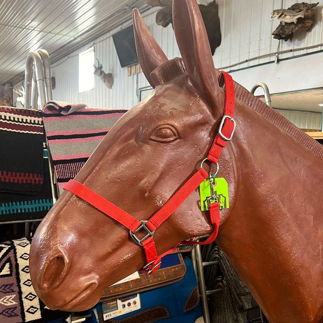 Irvine Nylon Adjustable Halter w/Snap - Irvine Tack &amp; Western Wear