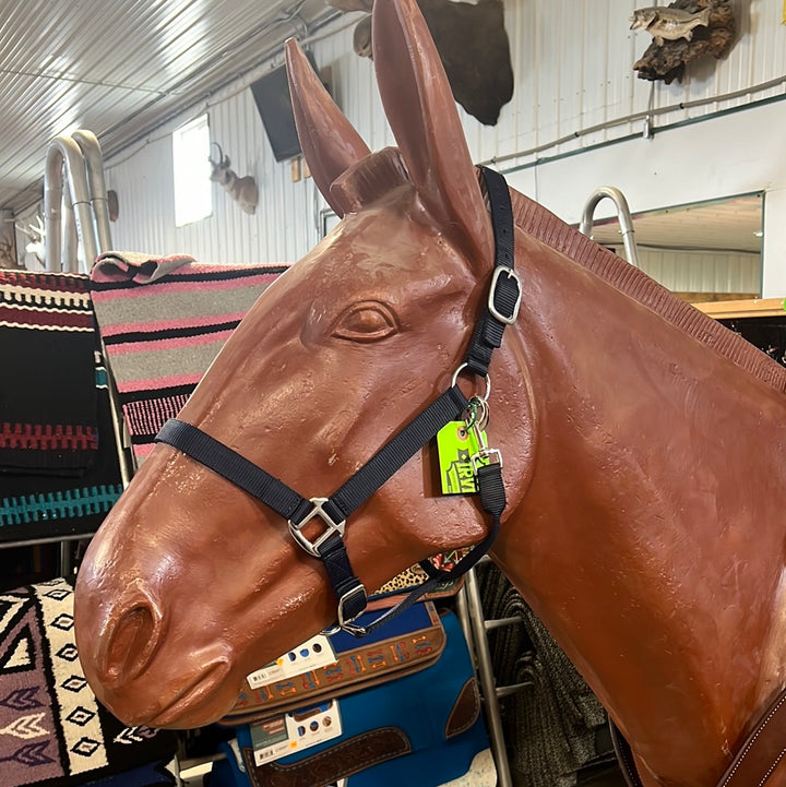 Irvine Nylon Adjustable Halter w/Snap - Irvine Tack &amp; Western Wear