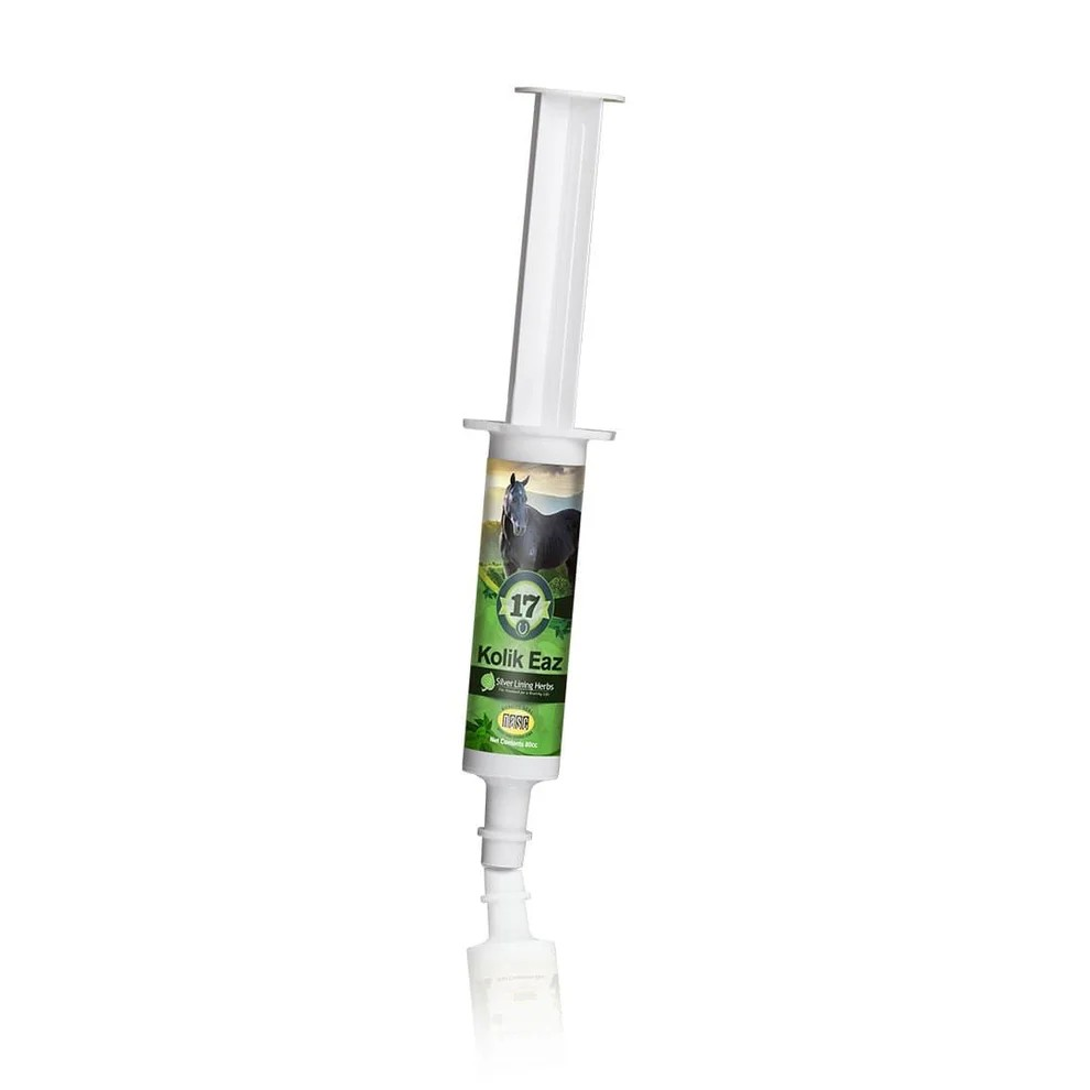Silver Lining Herbs Colic Eaz Paste-120CC