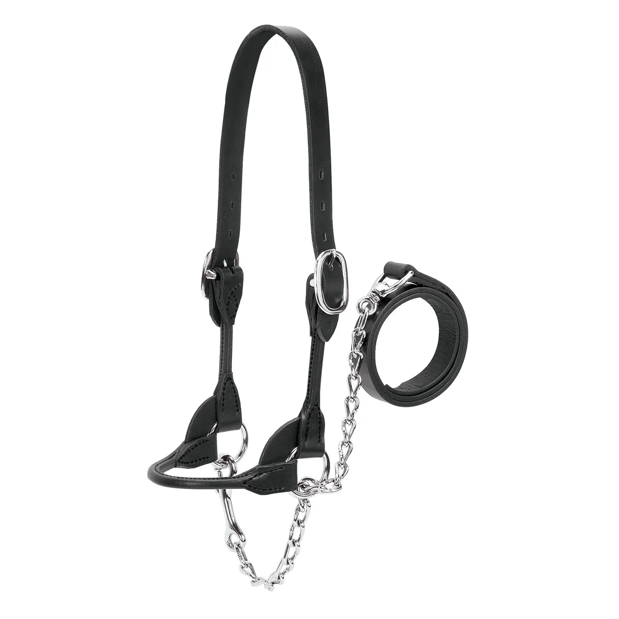 Weaver Rounded Cattle Show Halter-Black